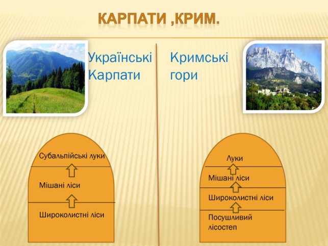 Карпати ,Крим. Українські Карпати. Кримські гори. Субальпійські луки. Мішані ліси. Широколистні ліси Луки. Мішані ліси. Широколистні ліси. Посушливий лісостеп